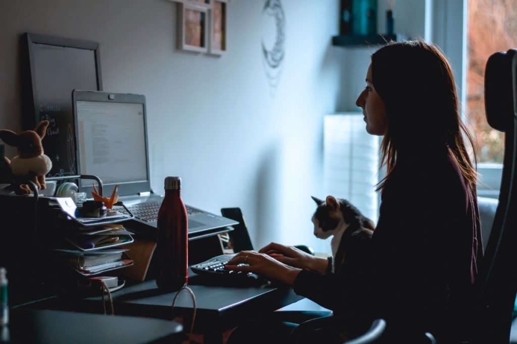 Pourquoi votre chat s’installe sur votre ordinateur